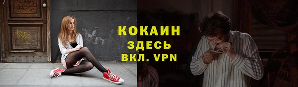 прущие грибы Абинск