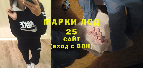 прущие грибы Абинск