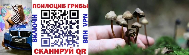 Псилоцибиновые грибы Magic Shrooms Ефремов