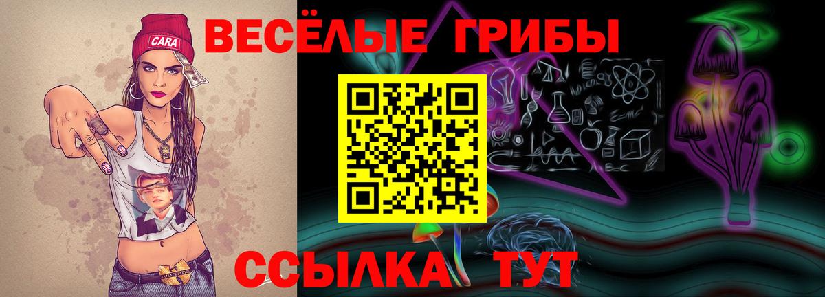 Ефремов  Псилоцибиновые грибы GOLDEN TEACHER  Вход с VPN 